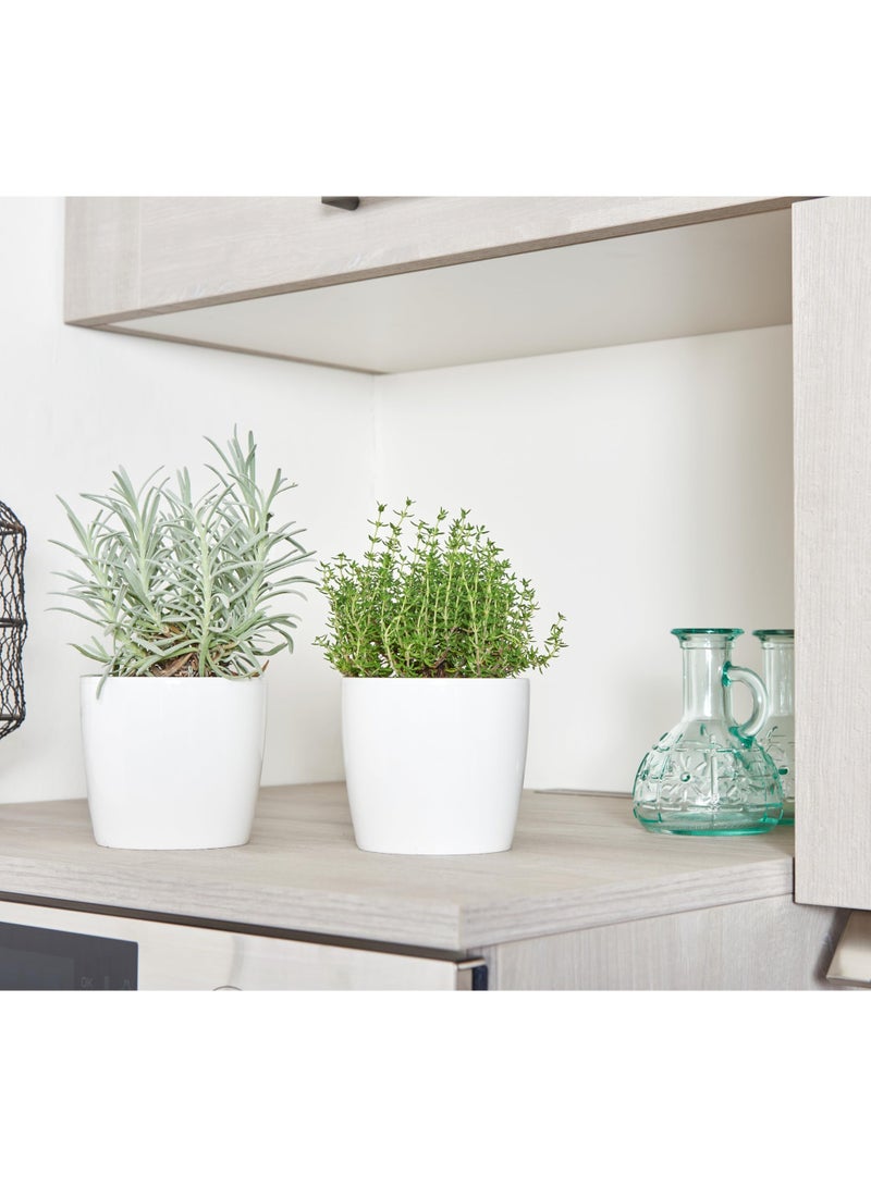 IDEL Plastic Flower Pot Round Planter – 2L & 4.5L Durable Plant Pots for Indoor & Outdoor Use – Lightweight Decorative Garden Planter in Multiple Colors – Round Living - Made in Italy - by Idel - Image 2