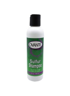 Ovante OVANTE White Sulfur Shampoo - Scalp Treatment for Acne, Folliculitis, and Dandruff in Men & Women - 6.0 oz 