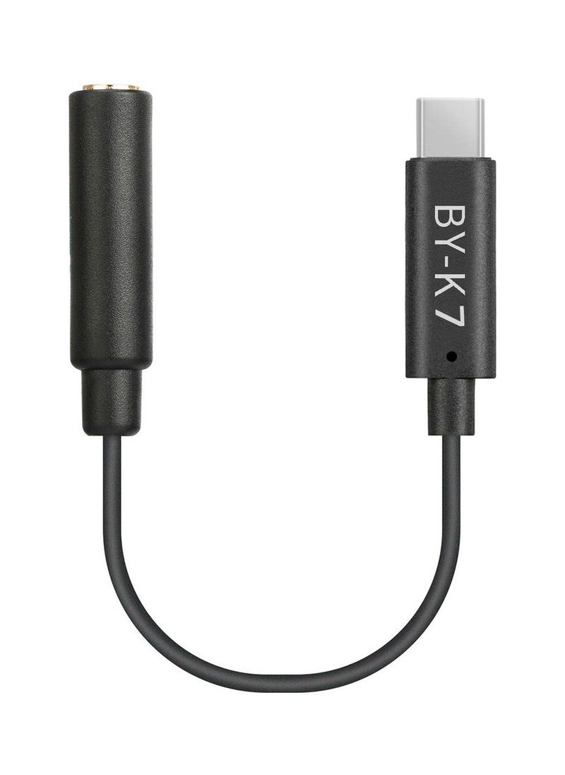 BOYA - BOYA BY-K4 Female 3.5mm TRS to Male USB Type-C Adapter Cable for DJI Osmo Action Camera with 2 years warranty - official distributor - Image 1