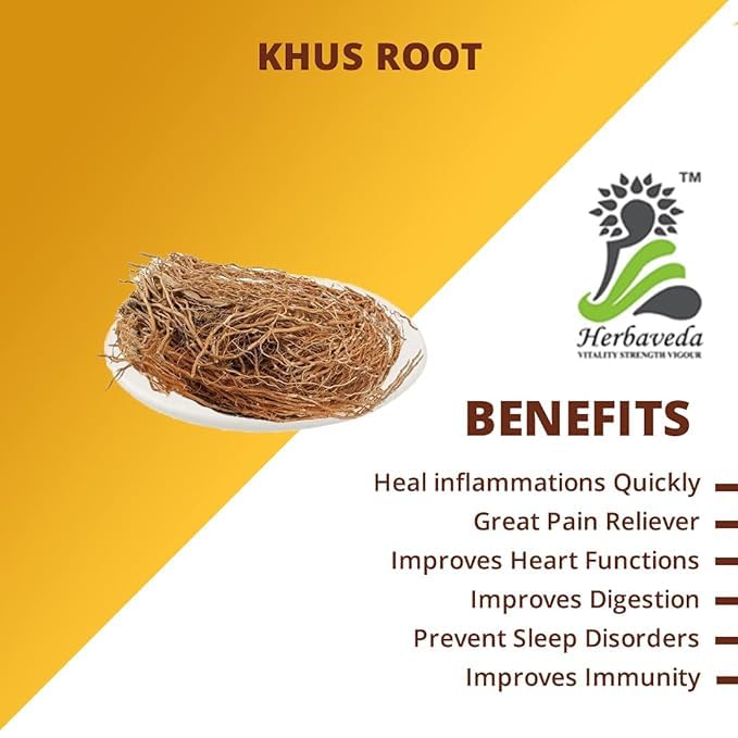 LEANBEING Herbaveda Vetiver Roots|Khus Root|Dried Khas Root|Ramacham Roots|for Insomnia & Pain Management |À¤À¤¸ À¤À¥ À¤À¤¡À¤¼ (50 Grams) - Image 4