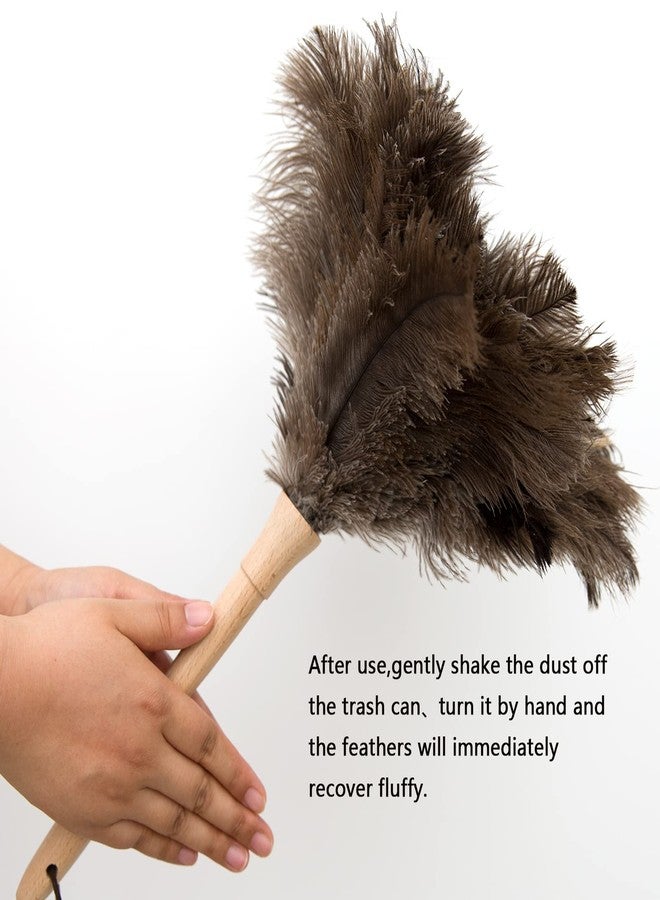 THARAHT 2PCS Ostrich Feather Duster 16 Inch Fluffy Natural with Wood Handle Reusable Washable for Cleaning Keyboard,Home,Car,Office Ostrich Feather Duster - Image 4