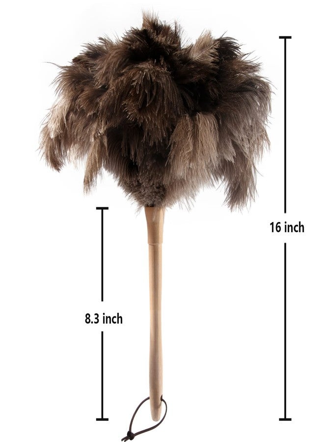 THARAHT 2PCS Ostrich Feather Duster 16 Inch Fluffy Natural with Wood Handle Reusable Washable for Cleaning Keyboard,Home,Car,Office Ostrich Feather Duster - Image 2