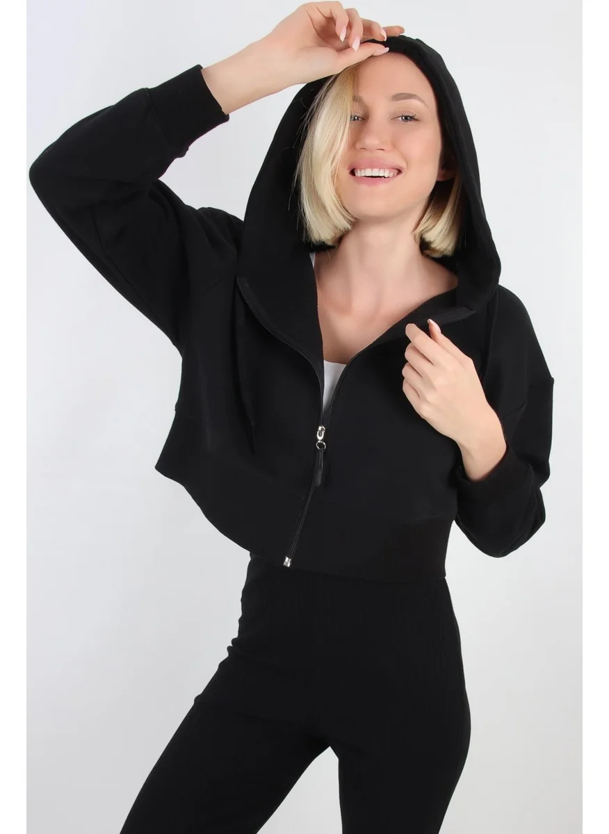 الكسندر جاردي Crop Hoodie Cardigan (B20-5013)
