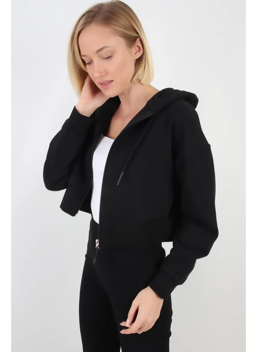 الكسندر جاردي Crop Hoodie Cardigan (B20-5013)