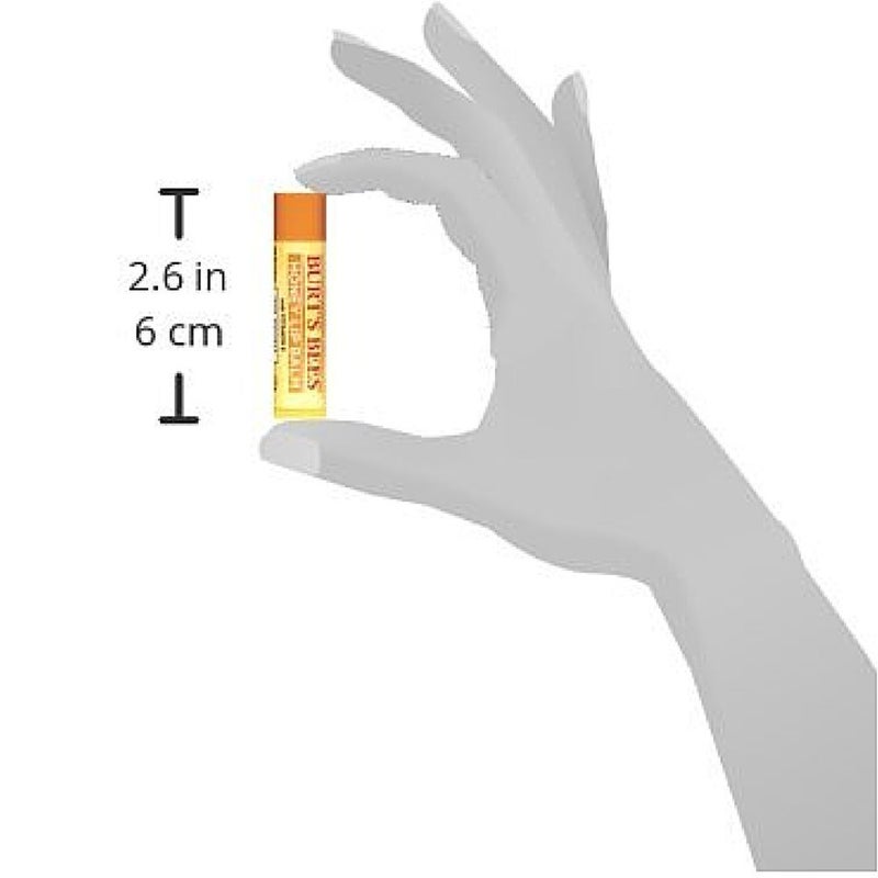 Burt's Bees Honey Moisturizing Lip Balm 0.15 oz (Pack of 12) - Image 2