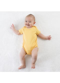 Owli Baby Body Set of 3 Early Birds  - Image 4