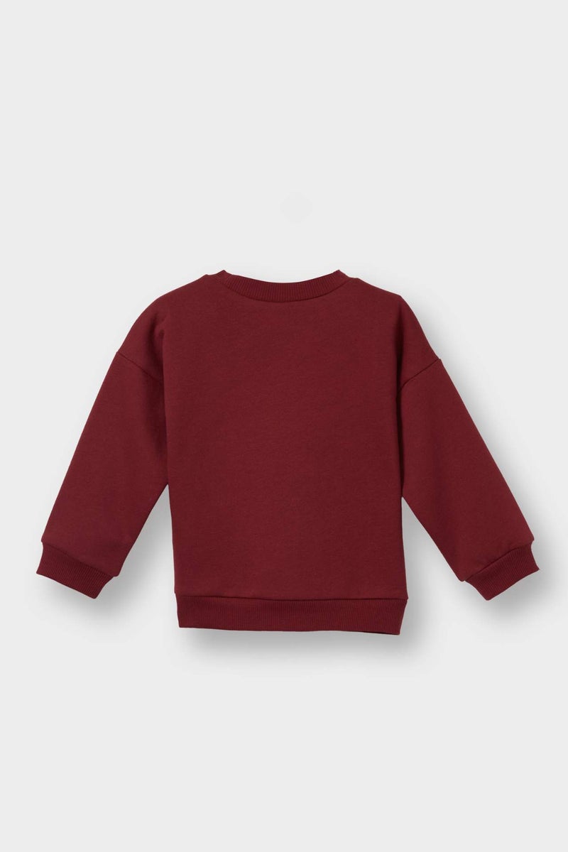 DeFacto Regular Fit Crew Neck Sweatshirt - Image 3