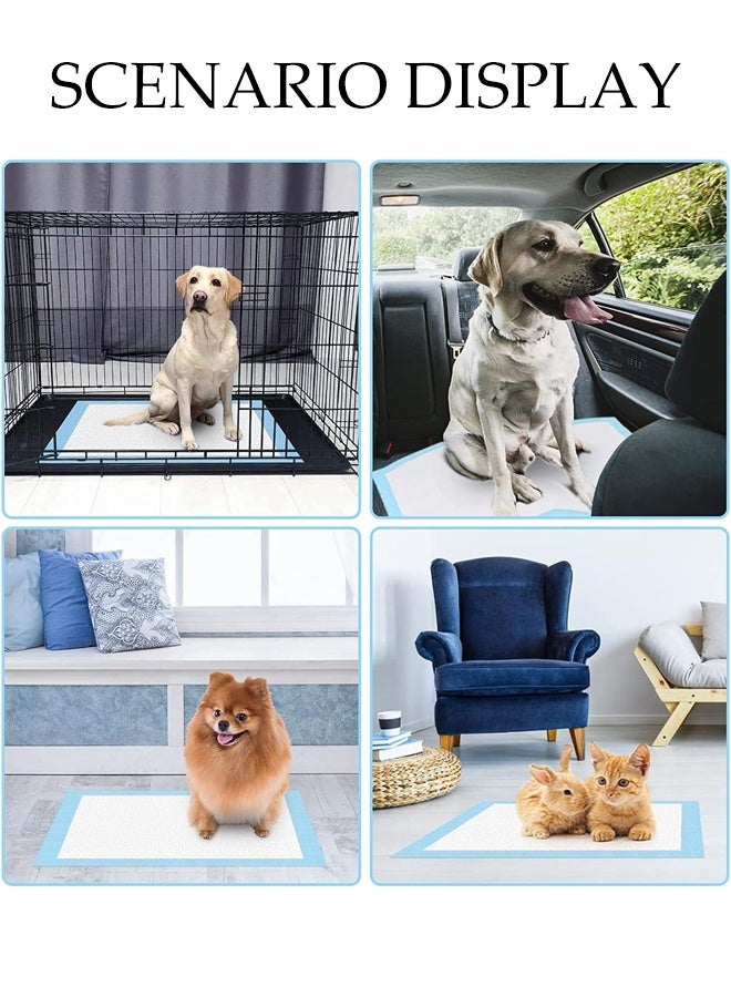 DUNISO وسادات تدريب الحيوانات الأليفة، وسادات بول قابلة للتخلص، وسادات بول فائقة الامتصاص للكلاب، مقاومة للتسرب، سريعة الجفاف، مناسبة لجميع الحيوانات الأليفة للاستخدام، 100 قطعة، 33*45 سم (S) - Image 2