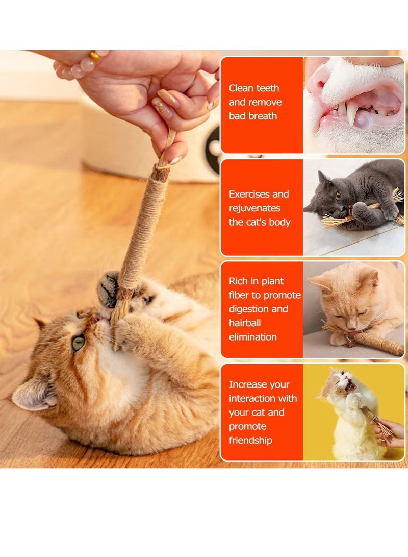 Ailily 6pcs Catmint Natural Silvervine Sticks, Catnip Cat Chew Sticks for Teeth Cleaning, Matatabi Kitten Dental Interactive Toy for Cats Lick (Yellow) - Image 4