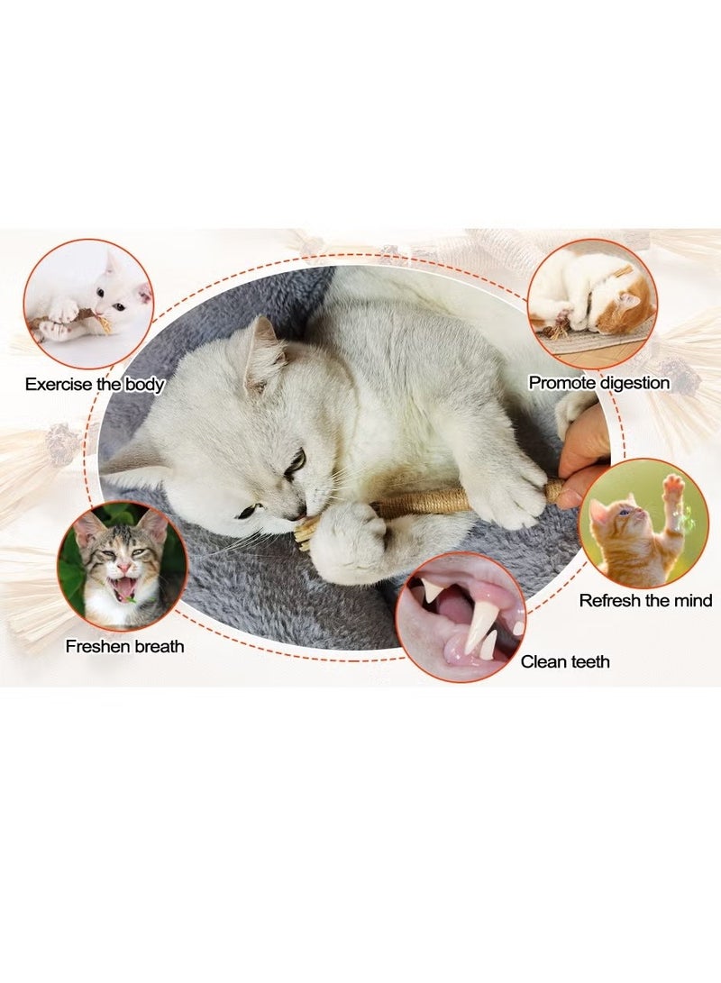 Ailily 6pcs Catmint Natural Silvervine Sticks, Catnip Cat Chew Sticks for Teeth Cleaning, Matatabi Kitten Dental Interactive Toy for Cats Lick (Yellow) - Image 5