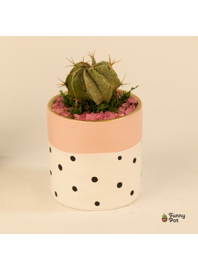 Cactus pottery pot