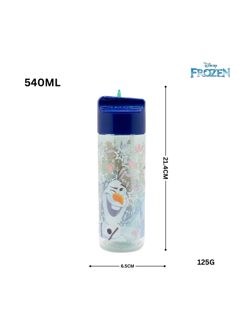 STOR WATER BOTTLE ECOZEN HYDRO 540 ML FROZEN SNOWY TALE - Image 2