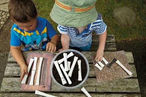 Yellow Door Dinosaur Bones Match & Measure Set, Multi - Image 5
