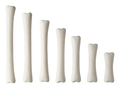 Yellow Door Dinosaur Bones Match & Measure Set, Multi - Image 2