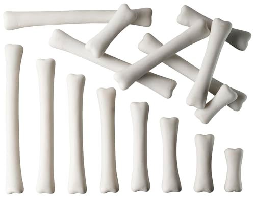 Yellow Door Dinosaur Bones Match & Measure Set, Multi - Image 1