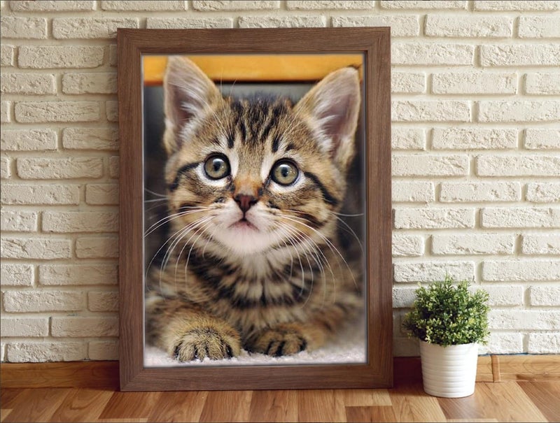 Apomelo Diamond Art Cat Diamond Art Painting Kit for Adults Tabby Cat for Home Wall Decor,12"×16" - Image 2