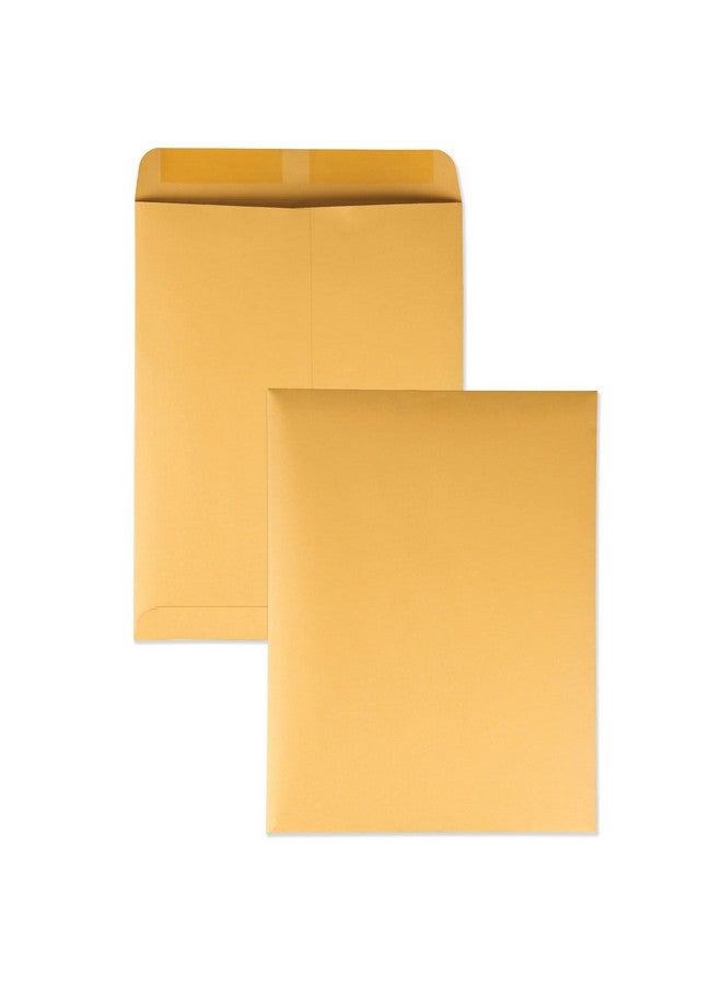 Quality Park 41465 Quality Park Catalog Envelopes Heavyweight/Gummed 9X12 28Lb Kraft 250/Box (Qua41465) Light Brown - Image 1