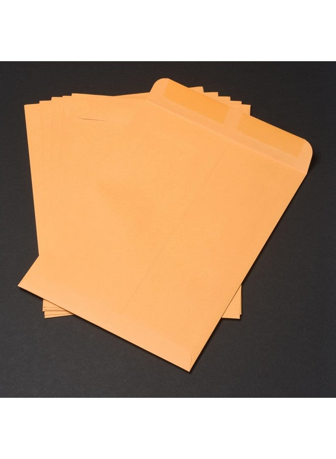 Quality Park 41465 Quality Park Catalog Envelopes Heavyweight/Gummed 9X12 28Lb Kraft 250/Box (Qua41465) Light Brown - Image 5