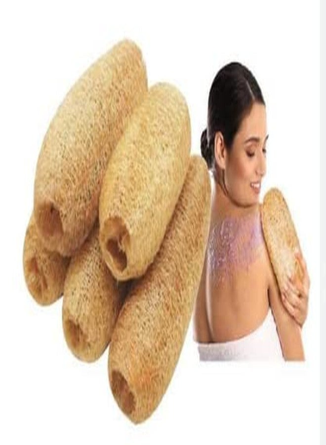 Natural Loufah/loofah Sponge Body Scrubber for Organic, Chemical free, Eco Friendly for Bathing, Men, Women-(Peerkangai Bath Scrub) (15-20cm, Pack of 2) - Dhanvant Herbal Shop - Image 1