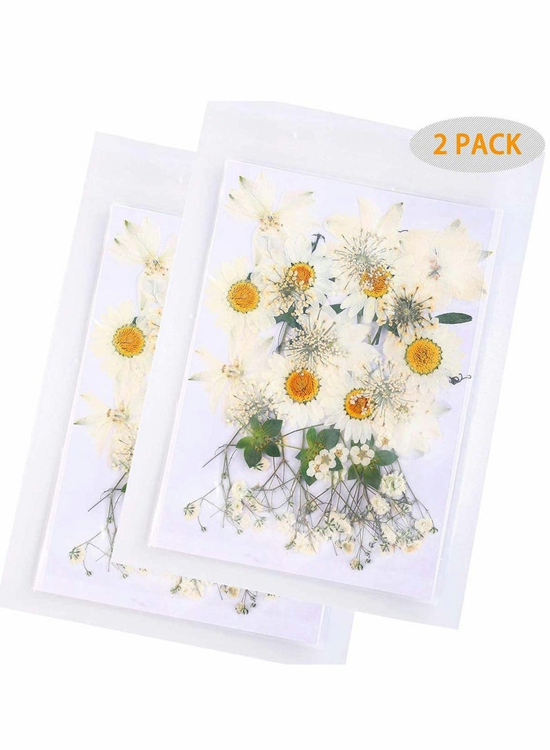 72 PCS Real Dried Pressed Flowers, Art Natural Dried Flower Leaf Plant Herbarium for Making Jewelry Nail Scrapbooking DIY Candle Decoration Resin Jewelry... - Image 2