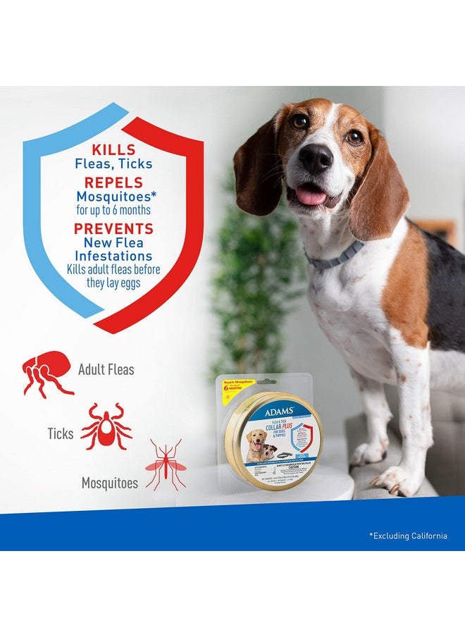 ADAMS Adams Flea & Tick Collar Plus for Dogs & Puppies |2 Pack |12-Month Protection |One Size Fits All Dogs & Puppies 12 Weeks and Older |Kills Fleas and Ticks |Repels Mosquitoes (excluding California)  - Image 3