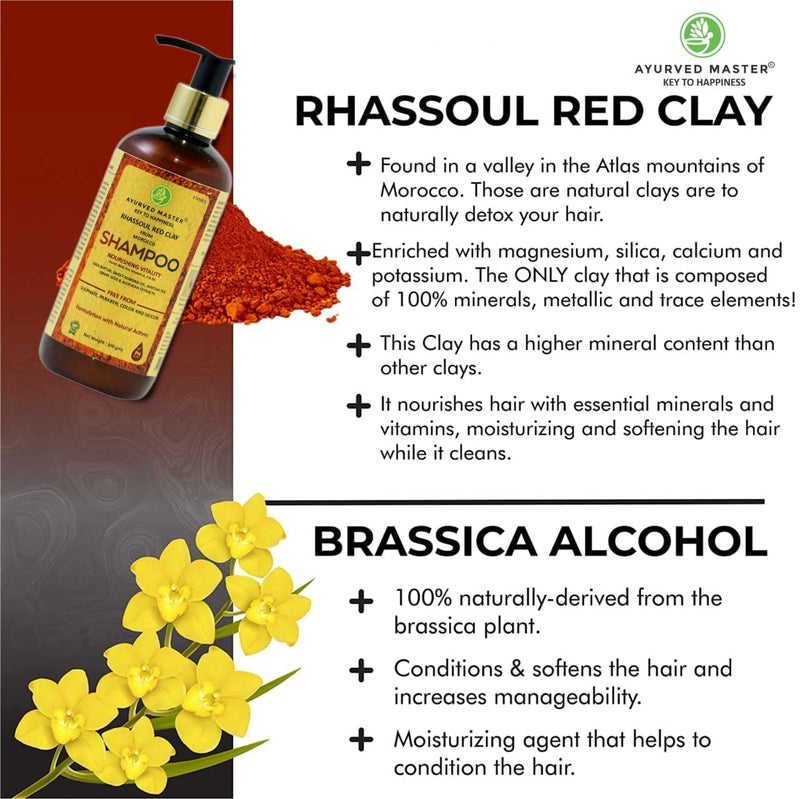 Ayurved Master Moroccan Rhassoul Red Clay Shampoo and Conditioner Combo For Nourishing Hair Vitalty Strengthening Softening and Restore Hair Shine 300ml Each - Image 4