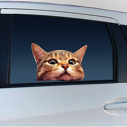 LEMONSODA Cat Car Window Decals Funny 3D Weatherproof Decals Bengal Cat - Image 1