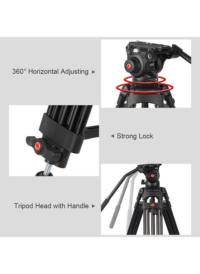 Andoer Professional Aluminum DSLR Camera Tripod Stand 1.8m/6ft 8KG Payload with 360° Panoramic Hydraulic Damping Head Universal 1/4 3/8 Interface for DSLR SLR Camera Photography