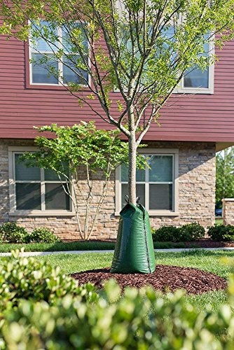 treegator 2 Pack - Treegator Original Slow Release Watering Bag for Trees - Image 2