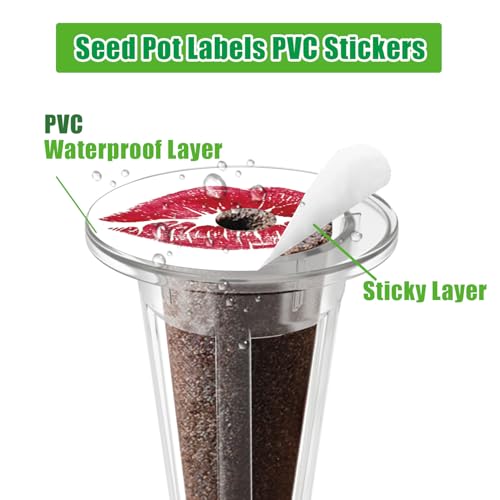 DRYADES Hydroponic Seed Pod Label Sitckers, Dryades 150PCS PVC Plant Grow Basket Stickers for Marking Plants and Understanding Plant Growth (38mm) - Image 3