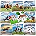 Faccito 24 Pcs Horse Coloring Books Mini Animals Coloring Activity Books Bulk DIY Art Drawing Party Favors for Horse Lover Gifts Farmhouse Animals Party Favors Supplies - Image 2
