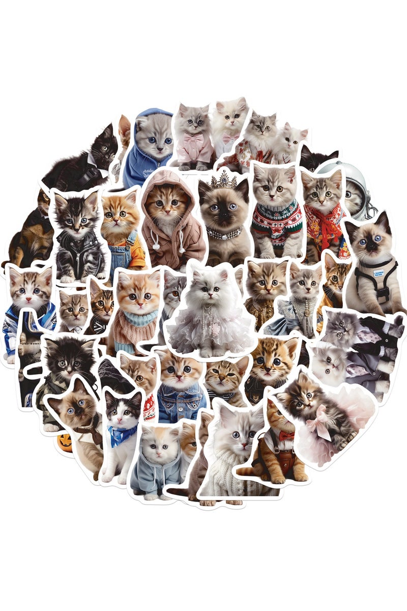 قوس قزح أورينبو 50 قطعة من ملصقات القطط المضحكة للأطفال على شكل حيوانات كرتونية جميلة، ملصقات فينيل عصرية مقاومة للماء لزجاجة المياه وحافظة السفر والهاتف وسجل القصاصات والغيتار - Image 1