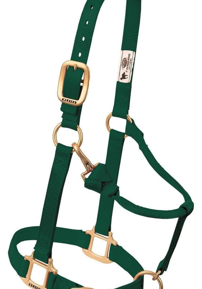 Weaver Leather Original Adjustable Nylon Horse Halter - Hunter Green - Image 1
