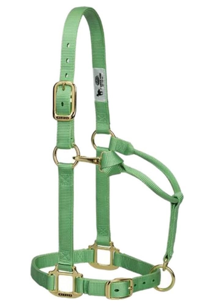 Weaver Leather Original Adjustable Nylon Horse Halter - Hunter Green - Image 4