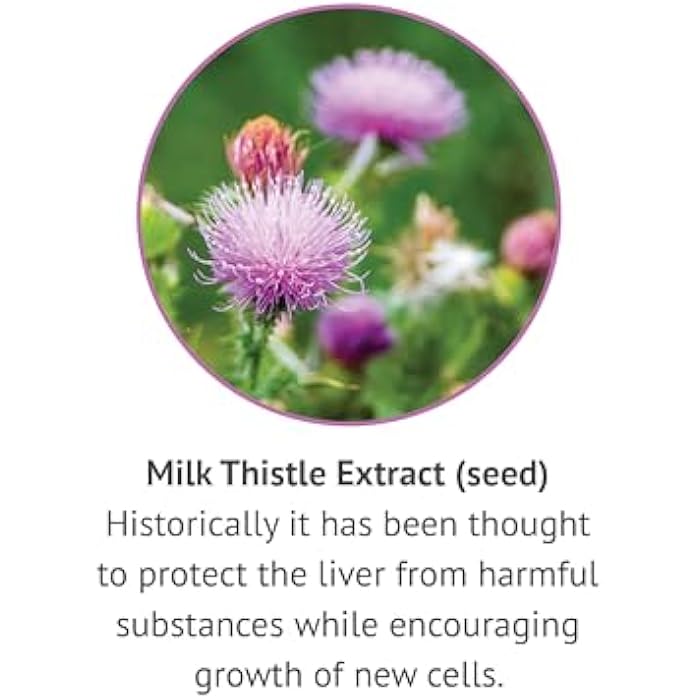 Botanic Choice Milk Thistle Liquid Extract, Alcohol Free, Gluten Free, Fast Acting Traditional Liver Favorite, 1 fl. oz - Image 4