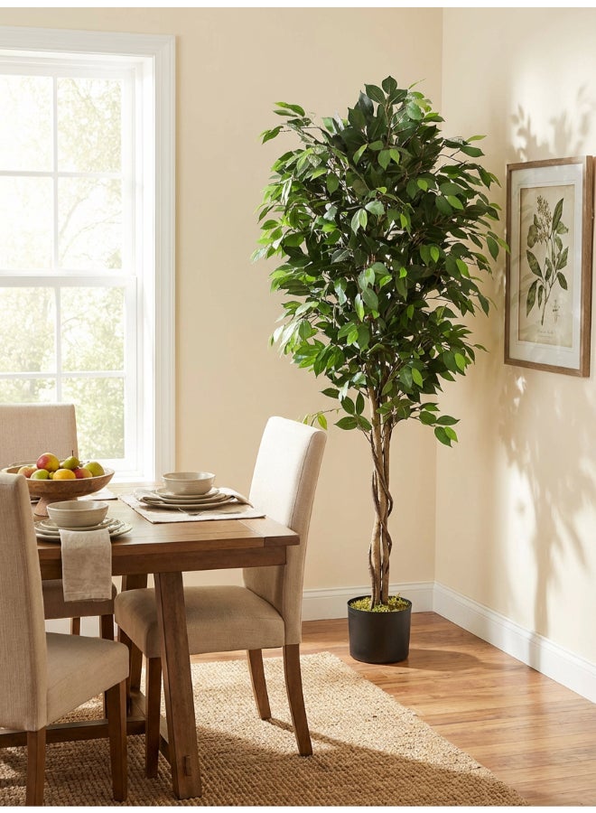 Noon East Ficus 180cm (6ft) Tall Artificial Tree with Pot | Floor Plant with Lifelike Design & Texture - Green | Decorative Natural Texture Tree for Home, Living Room, Study & Office spaces - Image 2