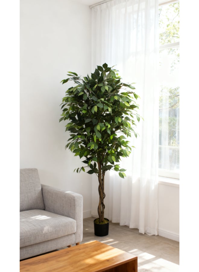 Noon East Ficus 180cm (6ft) Tall Artificial Tree with Pot | Floor Plant with Lifelike Design & Texture - Green | Decorative Natural Texture Tree for Home, Living Room, Study & Office spaces - Image 5
