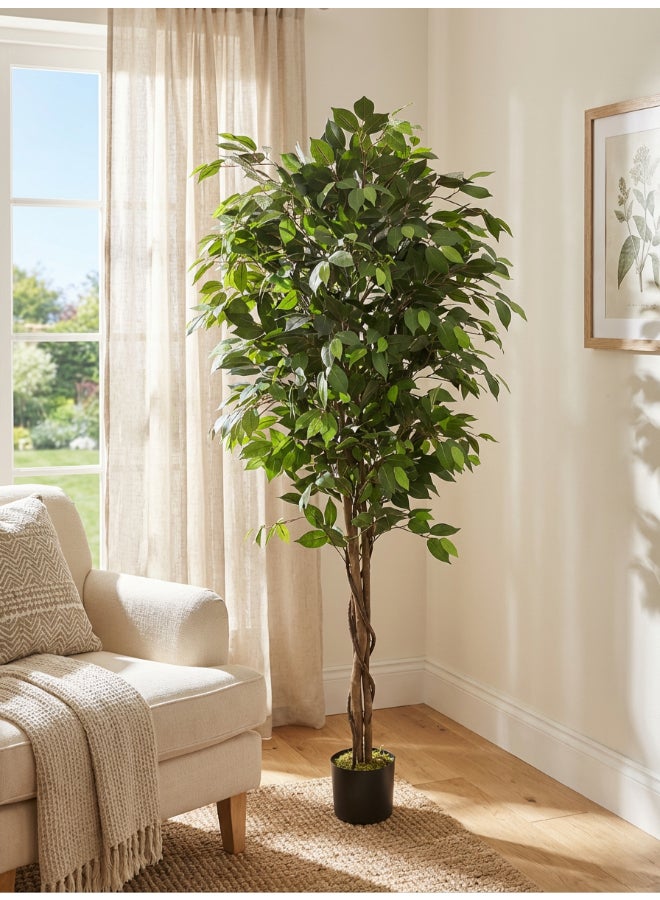 Noon East Ficus 180cm (6ft) Tall Artificial Tree with Pot | Floor Plant with Lifelike Design & Texture - Green | Decorative Natural Texture Tree for Home, Living Room, Study & Office spaces - Image 1