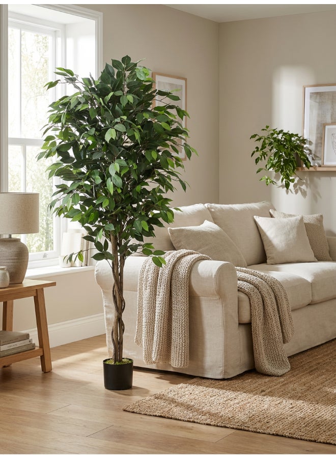 Noon East Ficus 180cm (6ft) Tall Artificial Tree with Pot | Floor Plant with Lifelike Design & Texture - Green | Decorative Natural Texture Tree for Home, Living Room, Study & Office spaces - Image 4