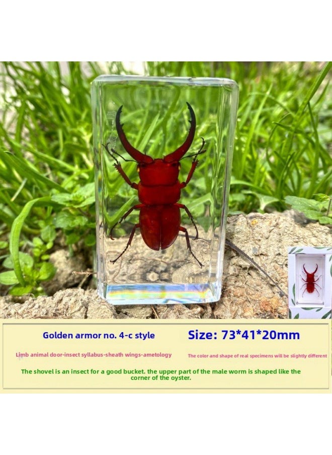 Insect Specimen Real Mono Fairy Amber Scarab Book Town Home Desk Decoration Mantis Spider Scorpion Factory-Color:Gold Spade Armor No. 4  - Image 1