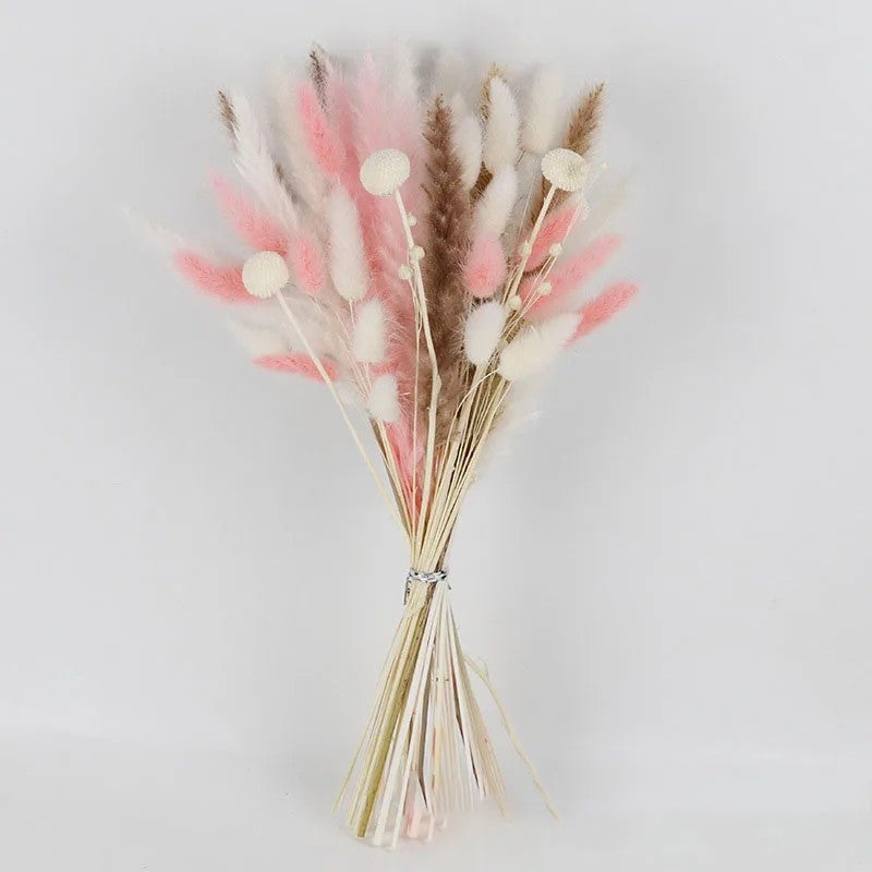 Bluejw Mixed Color Dried Pampas Grass Bouquet - Small Reed Rabbit Tail Real Flowers for Wedding, Christmas, Mother's Day, Easter, Graduation Decorations - Image 5