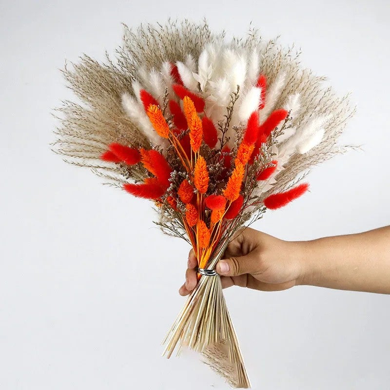 Bluejw Mixed Color Dried Pampas Grass Bouquet - Small Reed Rabbit Tail Real Flowers for Wedding, Christmas, Mother's Day, Easter, Graduation Decorations - Image 4