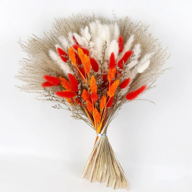 Bluejw Mixed Color Dried Pampas Grass Bouquet - Small Reed Rabbit Tail Real Flowers for Wedding, Christmas, Mother's Day, Easter, Graduation Decorations - Image 1