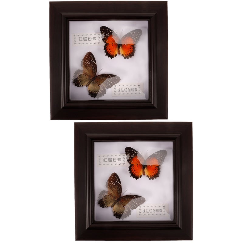 2pcs Simulation Butterfly Display Frame Butterfly Specimen Framed Display - Image 1