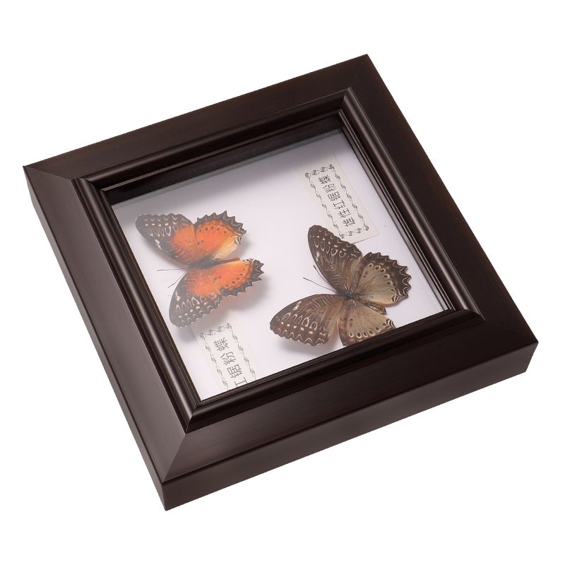 2pcs Simulation Butterfly Display Frame Butterfly Specimen Framed Display - Image 4