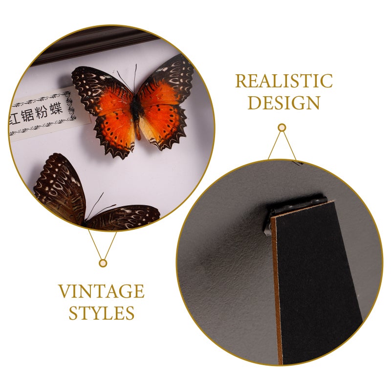 2pcs Simulation Butterfly Display Frame Butterfly Specimen Framed Display - Image 3