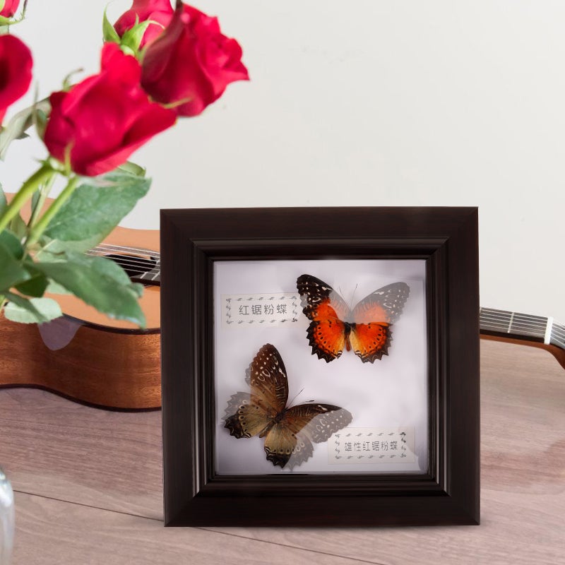 2pcs Simulation Butterfly Display Frame Butterfly Specimen Framed Display - Image 2