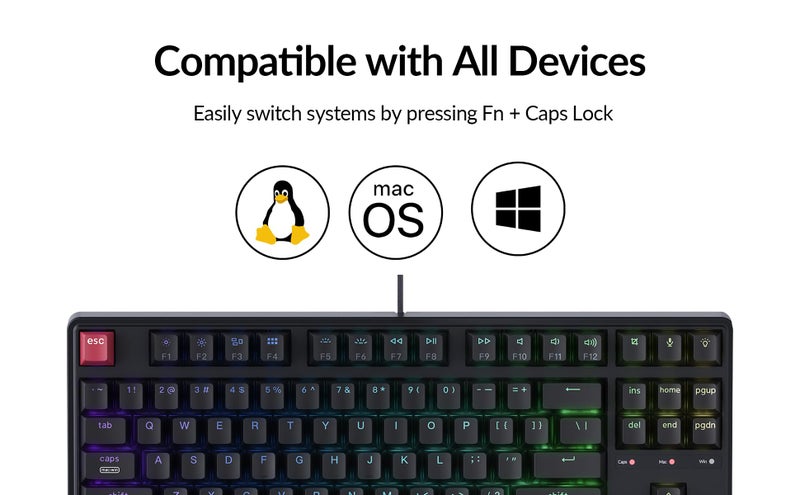 Keychron C3 Pro TKL 80% Wired Mechanical Keyboard, 8K Polling Rate, QMK/VIA Programmable, Hot-Swappable, RGB Backlit Shine-Through Keycaps, Super Banana Switch, for Windows/Mac - Image 3