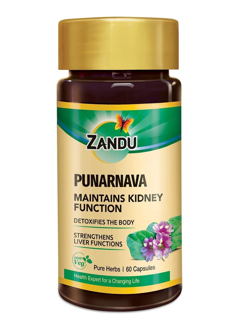 Zandu Capsules With Goodness of Natural Punarnava Extract known for Good Gut Health and for Healthy Appetite 60 Veg capsules - Image 1