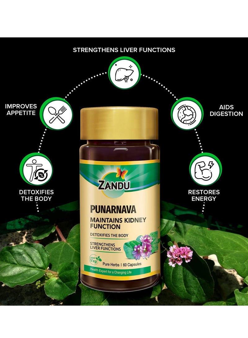 Zandu Capsules With Goodness of Natural Punarnava Extract known for Good Gut Health and for Healthy Appetite 60 Veg capsules - Image 3